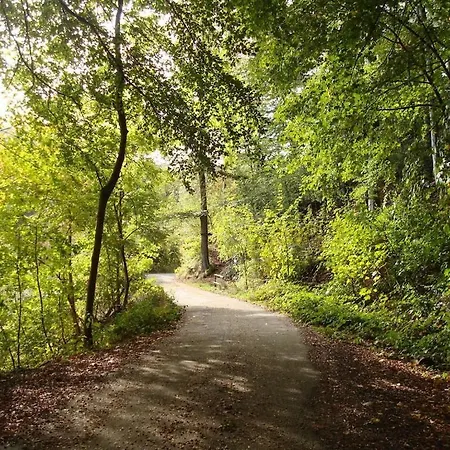 In Harz With 1 Bedroom Prázdninový dům