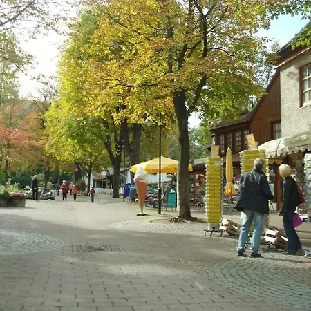 Prázdninový dům In Harz With 1 Bedroom